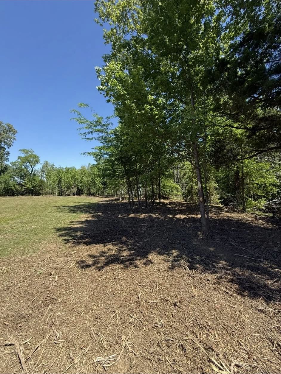 Forestry-mulched tree line opened up along a green pasture