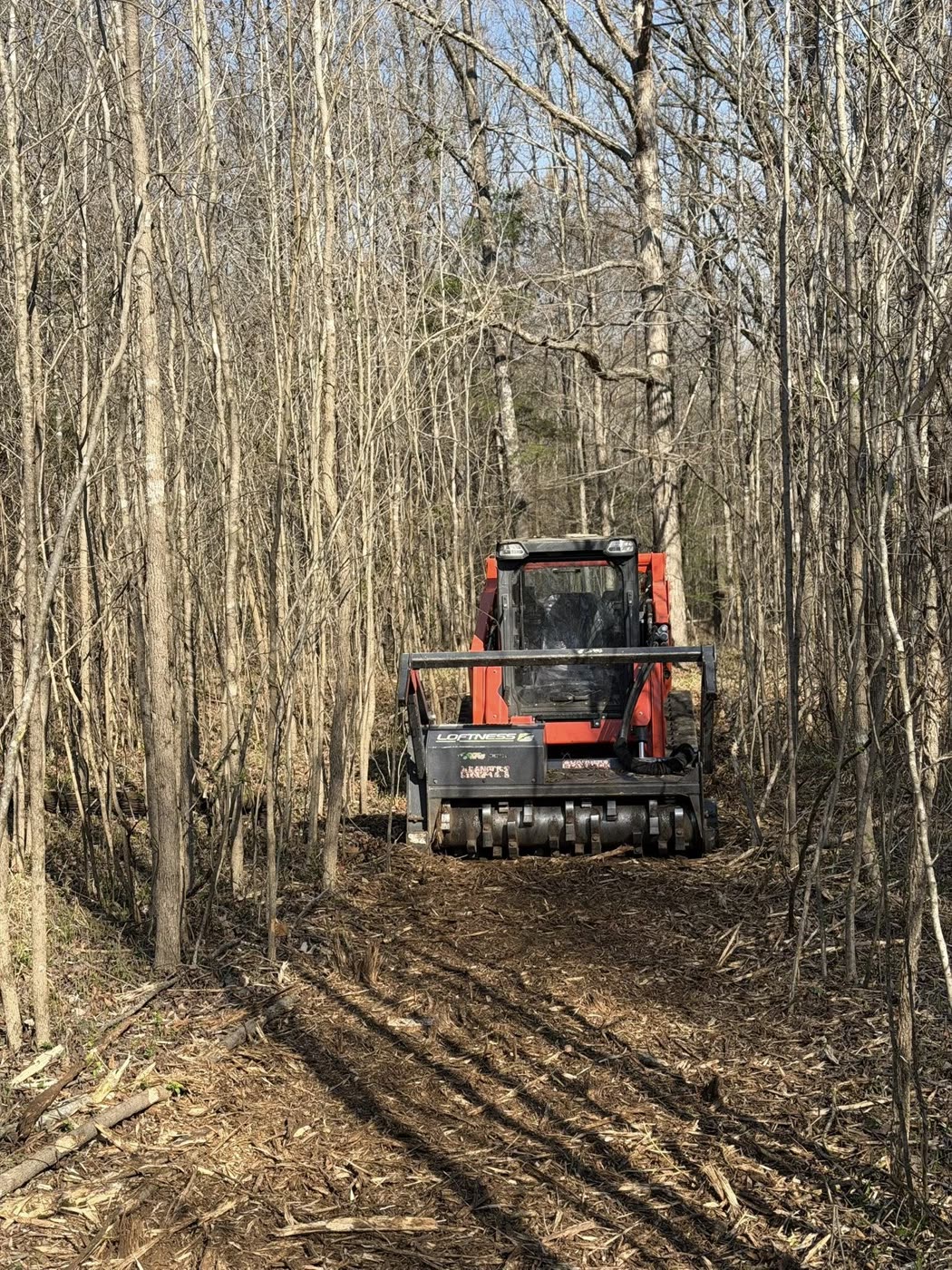 Track loader with forestry mulcher head cutting a path through thick saplings